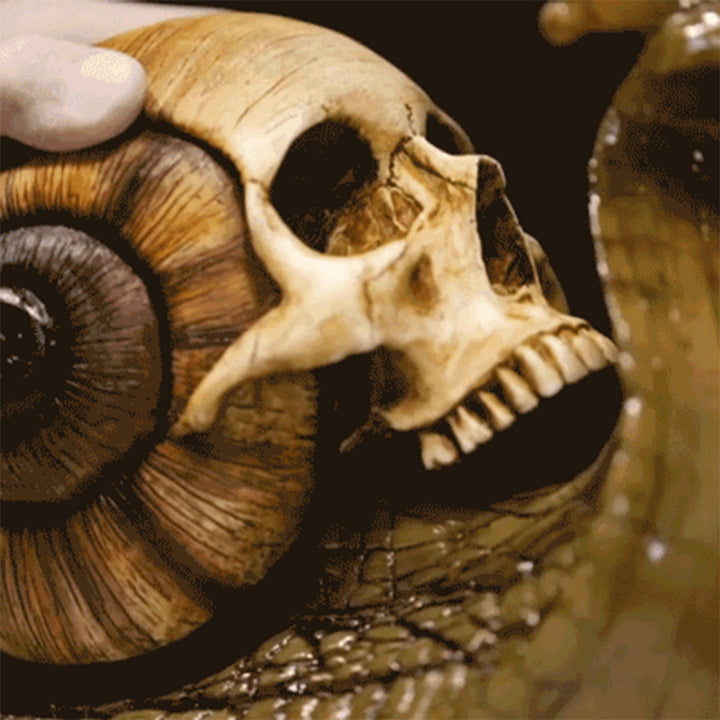 Elevate Your Space with the Captivating Snail Skull Sculpture