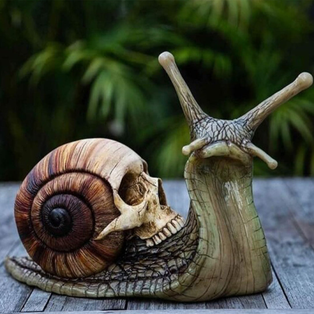 Snail Skull Sculpture Gothic Decoration Snail Statue